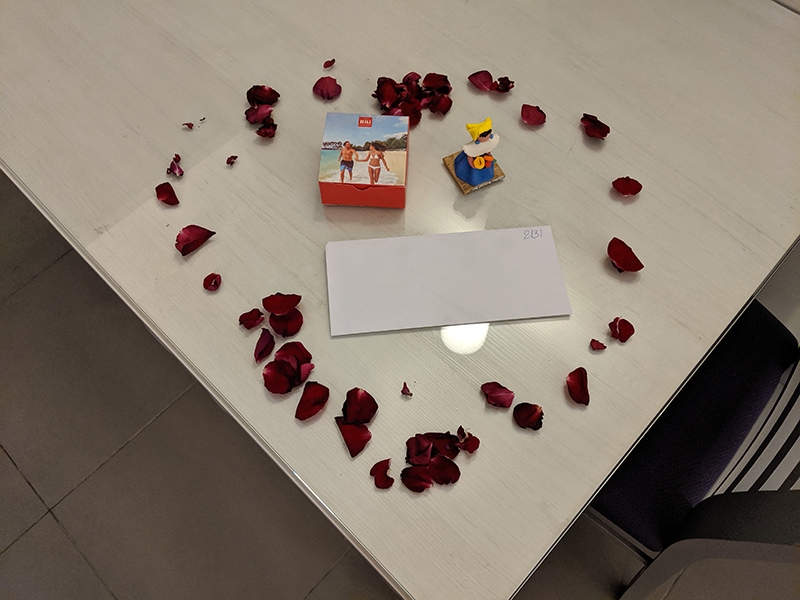 RIU Palace Bavaro Gift From Housekeeping